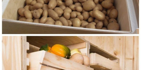 Как да съхранявате картофи в апартамента?